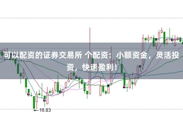 可以配资的证券交易所 个配资：小额资金，灵活投资，快速盈利！