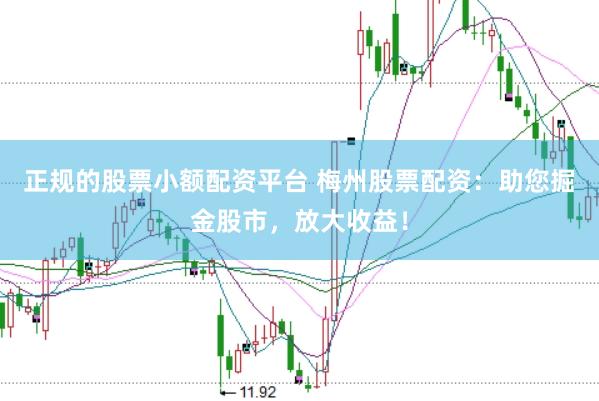 正规的股票小额配资平台 梅州股票配资：助您掘金股市，放大收益！