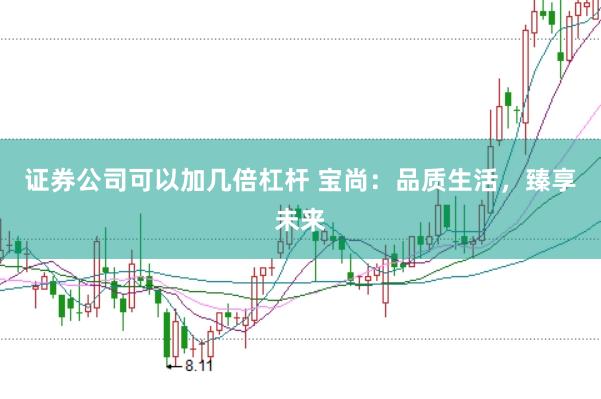 证券公司可以加几倍杠杆 宝尚：品质生活，臻享未来