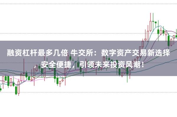 融资杠杆最多几倍 牛交所：数字资产交易新选择，安全便捷，引领未来投资风潮！