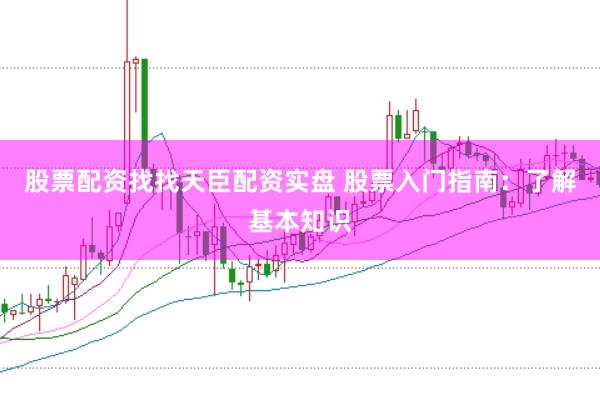 股票配资找找天臣配资实盘 股票入门指南：了解基本知识